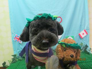 ファイル 4665-1.jpg