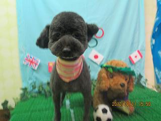 ファイル 4665-2.jpg