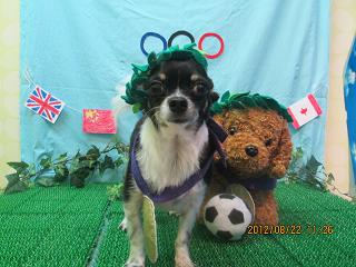 ファイル 4666-1.jpg