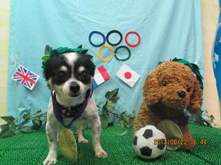 ファイル 4668-1.jpg