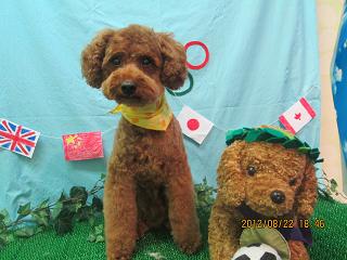 ファイル 4669-1.jpg