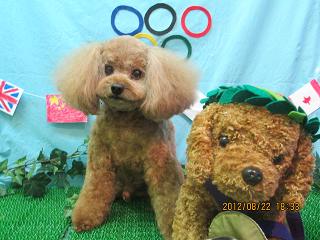 ファイル 4670-1.jpg