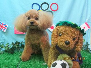 ファイル 4670-2.jpg