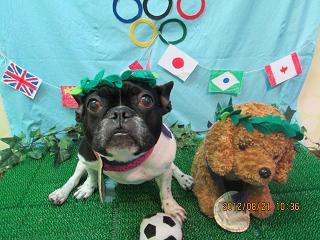 ファイル 4671-1.jpg