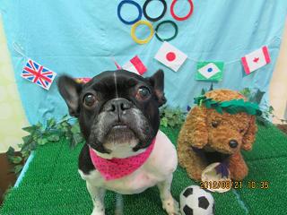 ファイル 4671-2.jpg