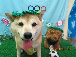 ファイル 4672-1.jpg