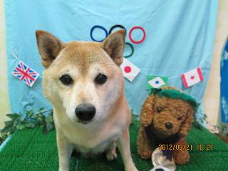 ファイル 4672-2.jpg