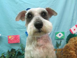 ファイル 4673-1.jpg