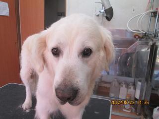 ファイル 4674-1.jpg