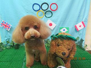 ファイル 4675-2.jpg