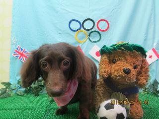 ファイル 4676-2.jpg