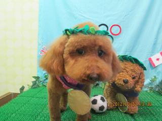 ファイル 4677-2.jpg