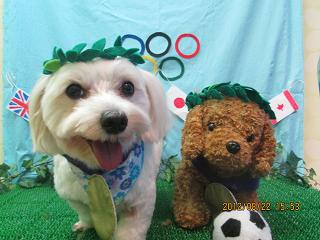 ファイル 4678-1.jpg