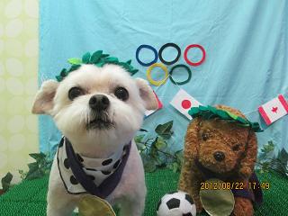 ファイル 4679-1.jpg