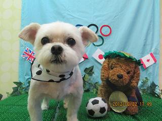 ファイル 4679-2.jpg