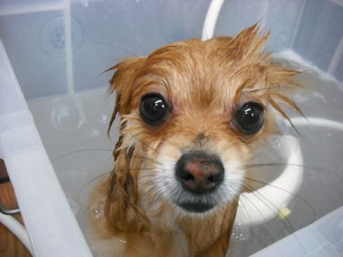 ファイル 468-2.jpg