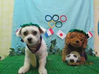 ファイル 4680-1.jpg