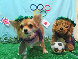 ファイル 4681-1.jpg