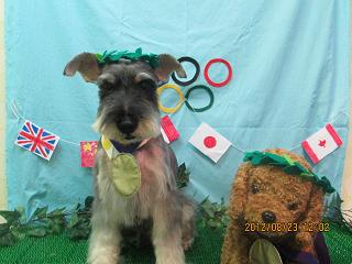 ファイル 4683-1.jpg