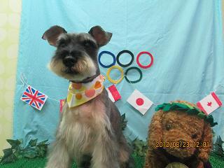 ファイル 4683-2.jpg