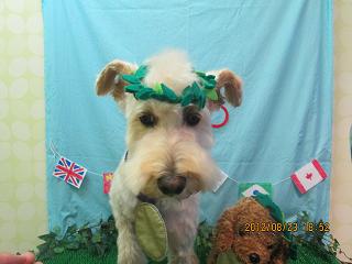 ファイル 4685-1.jpg