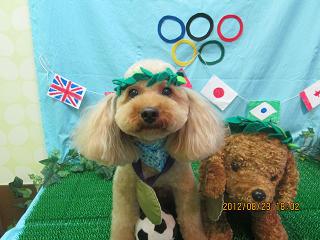 ファイル 4686-1.jpg