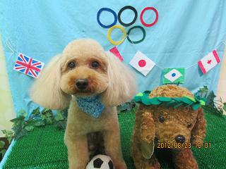 ファイル 4686-2.jpg