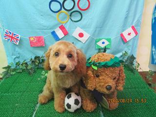 ファイル 4687-1.jpg