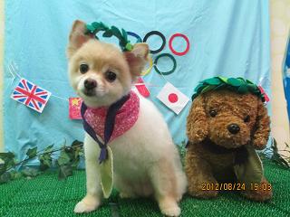 ファイル 4688-1.jpg