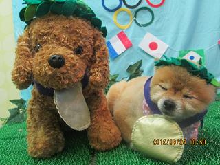 ファイル 4689-1.jpg