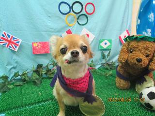 ファイル 4690-1.jpg