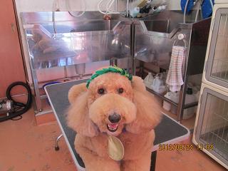 ファイル 4692-1.jpg