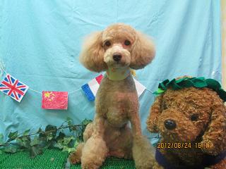 ファイル 4693-2.jpg