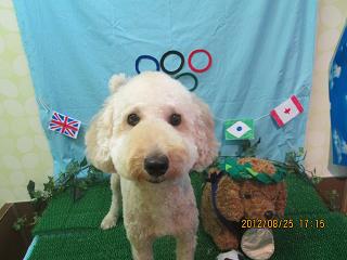 ファイル 4694-2.jpg