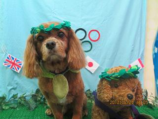 ファイル 4695-1.jpg