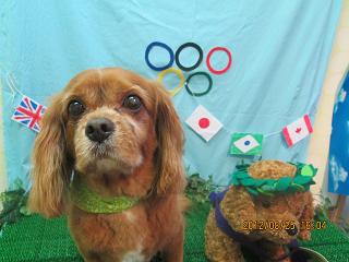 ファイル 4695-2.jpg