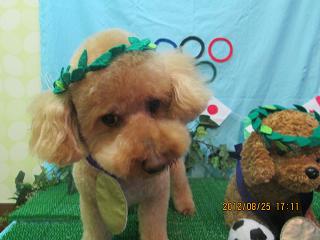 ファイル 4696-2.jpg