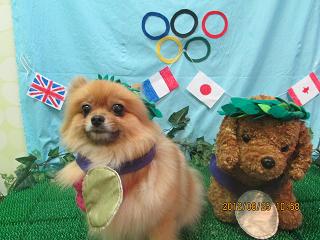 ファイル 4697-1.jpg