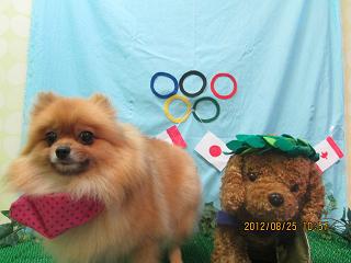 ファイル 4697-2.jpg