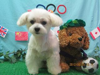 ファイル 4698-2.jpg