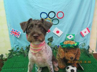 ファイル 4699-2.jpg