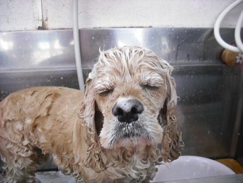 ファイル 47-2.jpg