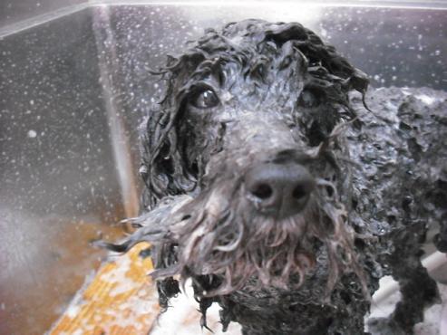 ファイル 470-2.jpg