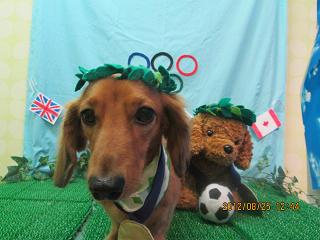 ファイル 4700-1.jpg