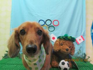 ファイル 4700-2.jpg