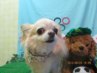 ファイル 4701-2.jpg