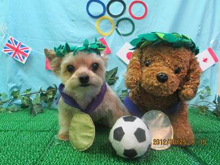 ファイル 4702-1.jpg