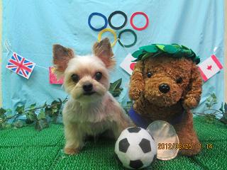 ファイル 4702-2.jpg