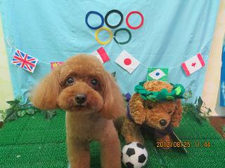 ファイル 4703-2.jpg