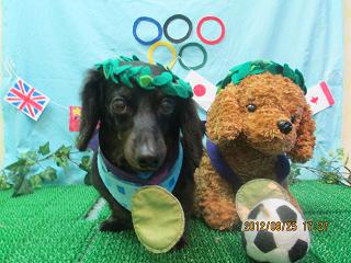 ファイル 4704-1.jpg